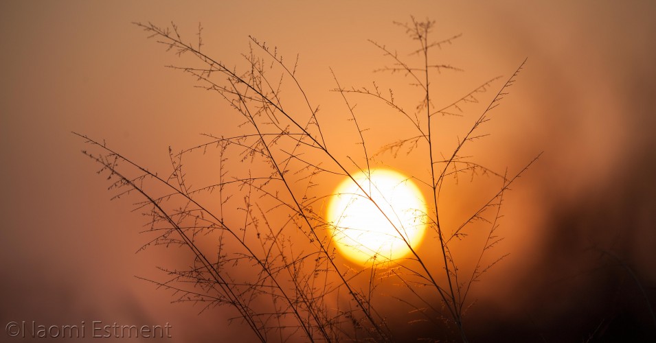 African Sunset at Ants Hill
