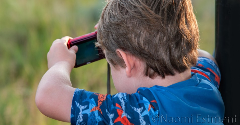 Young Child Using Point-and-Shoot Camera