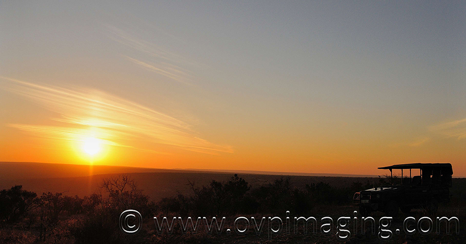 African sunset on safari
