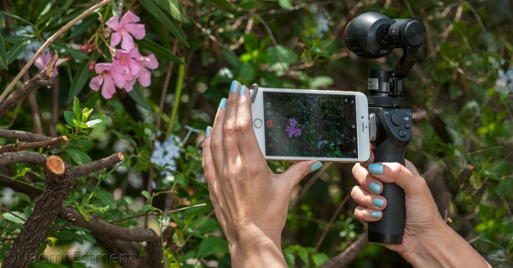 DJI Osmo in Action