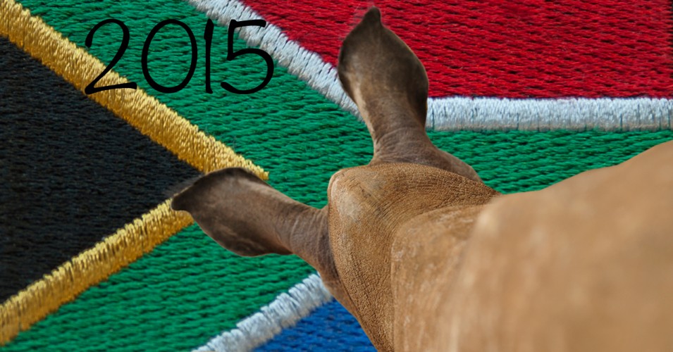 South Africa Flag with Rhino Calf